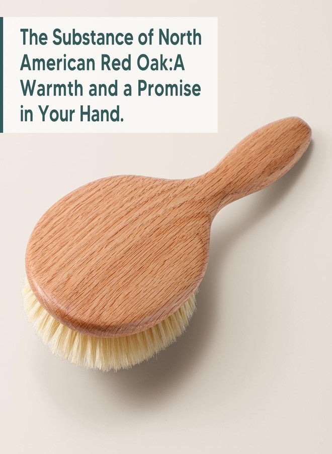 TRENFI Heritage Oak Boar Bristle Hair Brush | 100% First-Cut Natural Bristles for Shine & Smoothing | Soft Scalp Massage | Luxury Grooming for Fine, Short Hair & Men's Styling (Finishing Tool) - Image 3